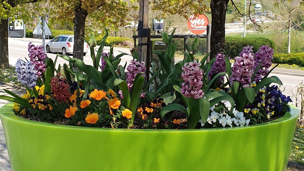 Photo of Outdoor in Ecole-Valentin