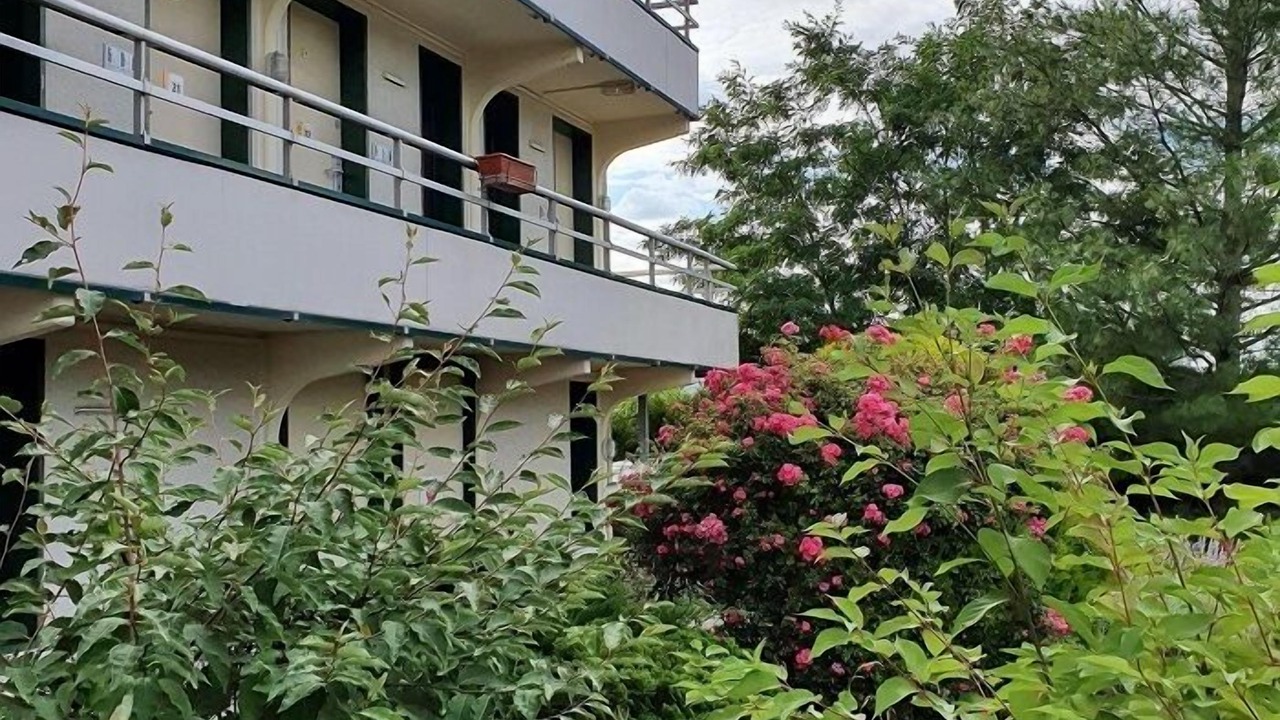 Photo of Outdoor in Mouroux
