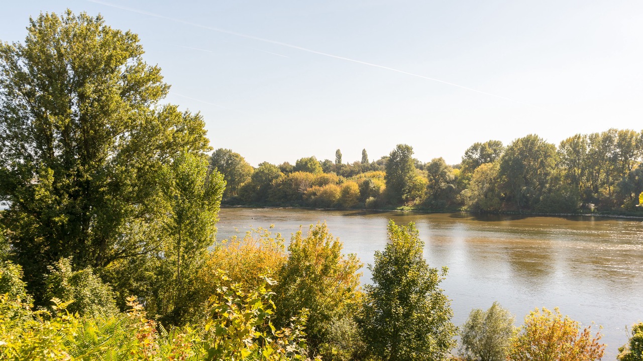 Photo of Outdoor in La Chapelle-Saint-Mesmin