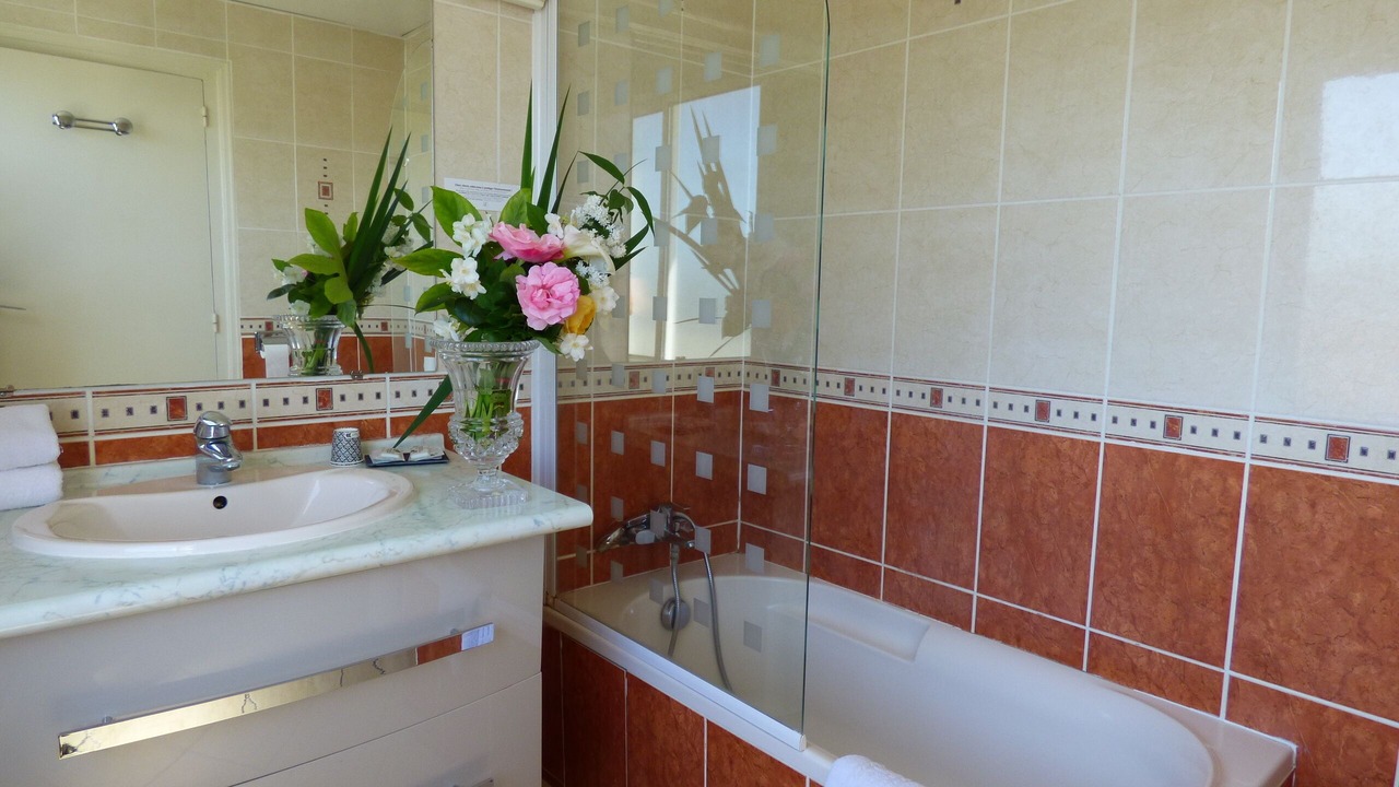 Photo of Bathroom in Montrichard Val de Cher