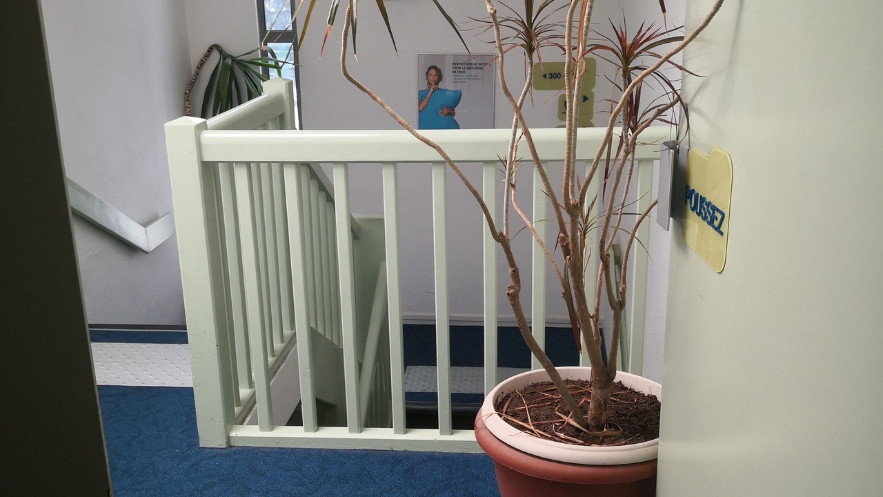 Photo of Outdoor in Cergy