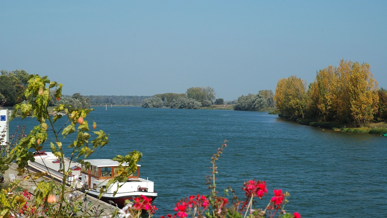 Photo of Others in Tournus