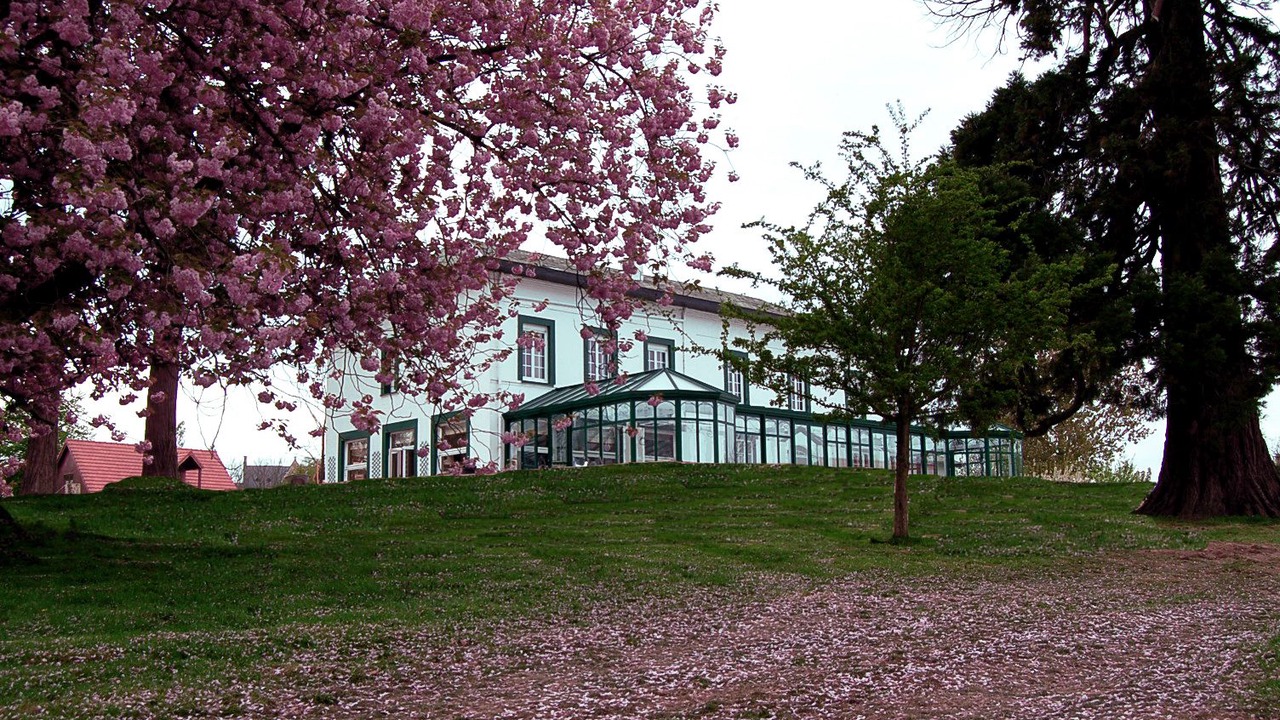 Photo of Outdoor in Wisques