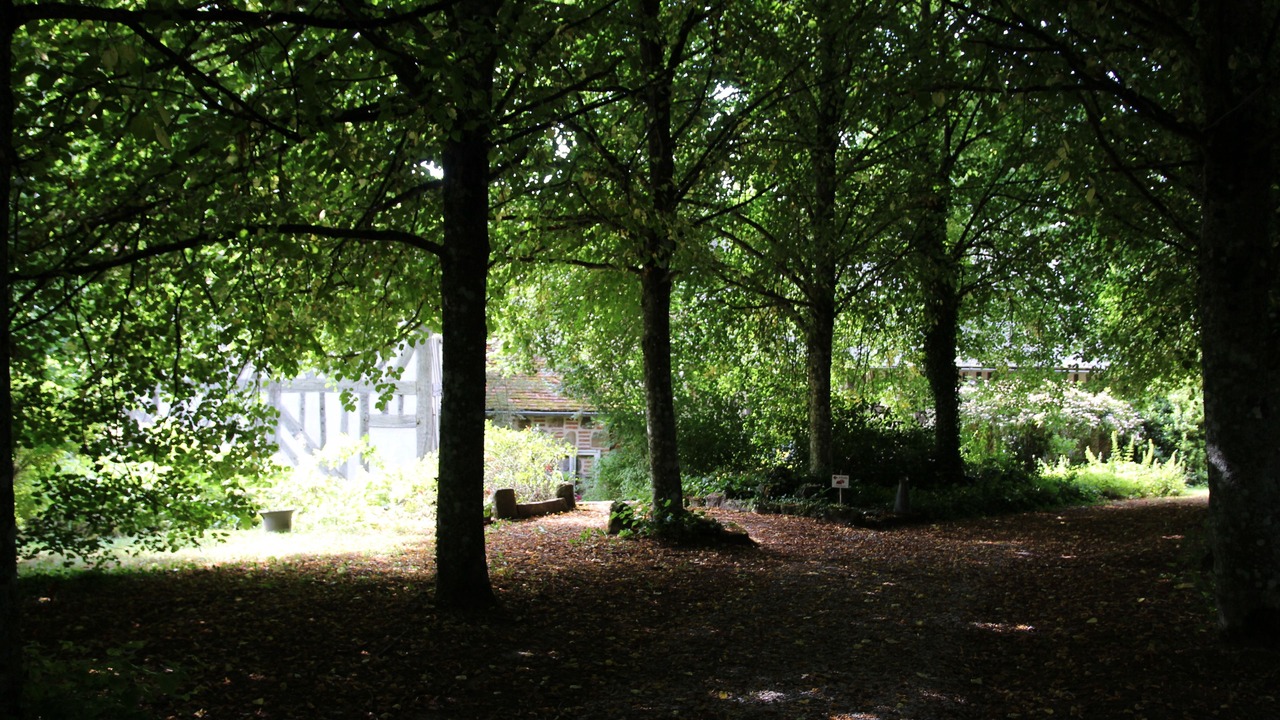 Photo of Others in Saint-Aubin-de-Bonneval