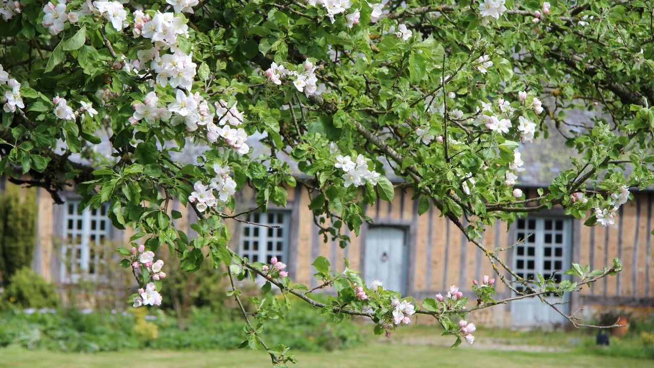 Photo of Outdoor in Saint-Aubin-de-Bonneval