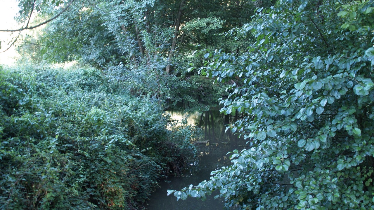 Photo of Outdoor in Lalheue