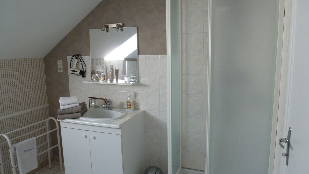 Photo of Bathroom in Banteux