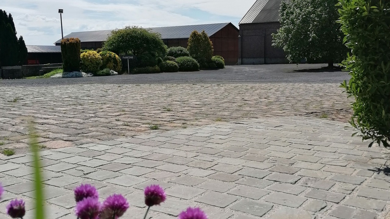 Photo of Outdoor in Banteux