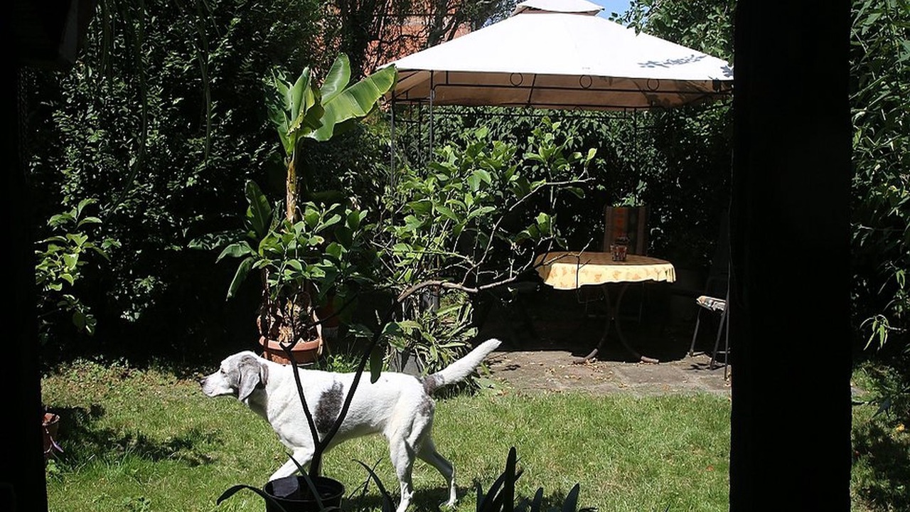 Photo of Outdoor in Betschdorf