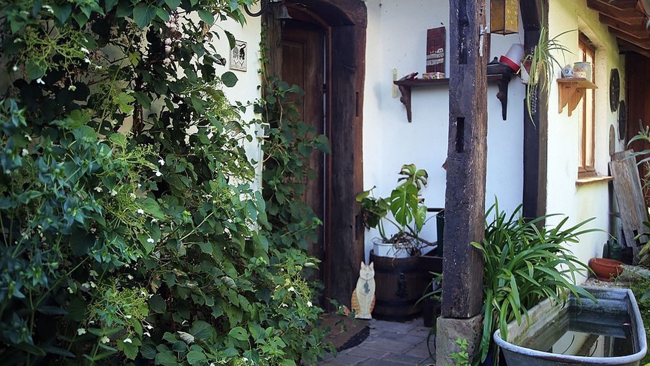Photo of Outdoor in Betschdorf
