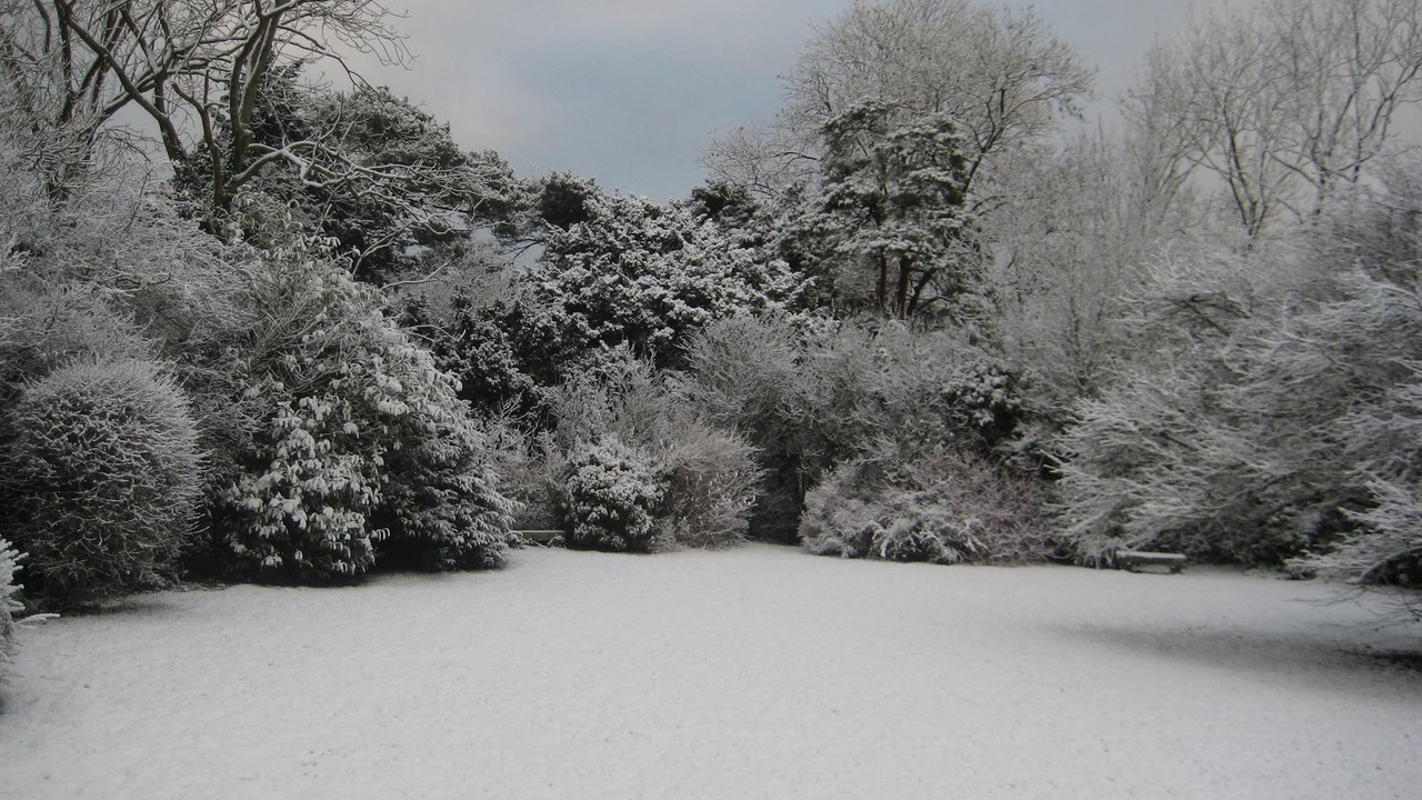 Photo of Outdoor in Eperlecques