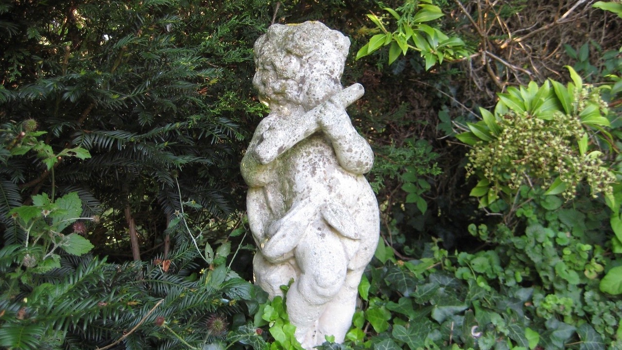 Photo of Outdoor in Eperlecques