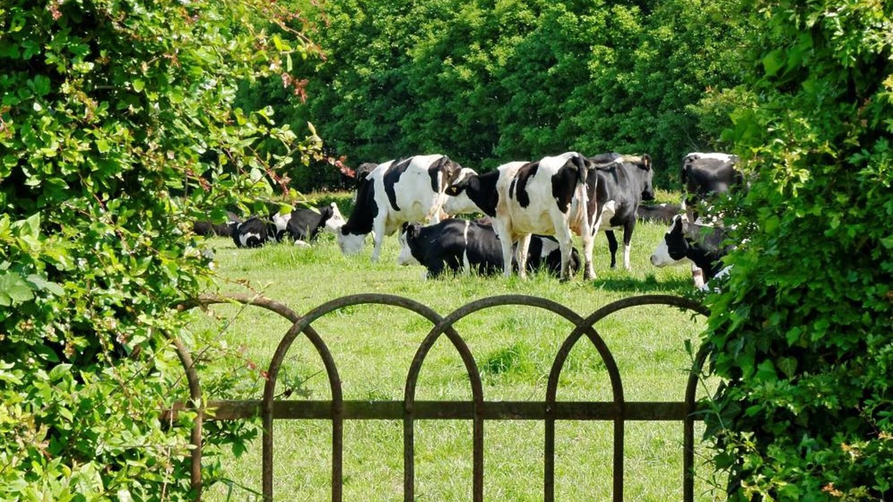 Photo of Outdoor in Solre-le-Chateau