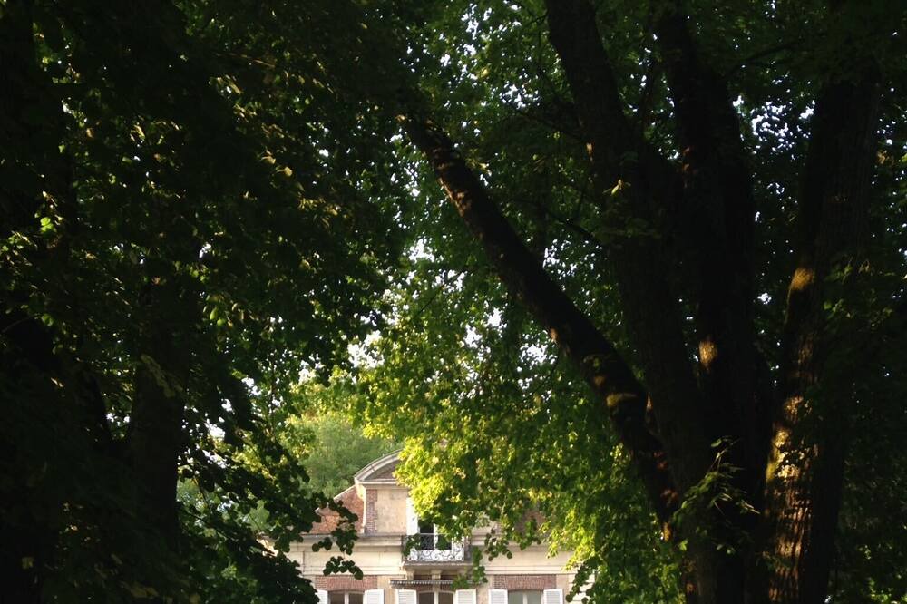 Photo of Outdoor in Courgenay