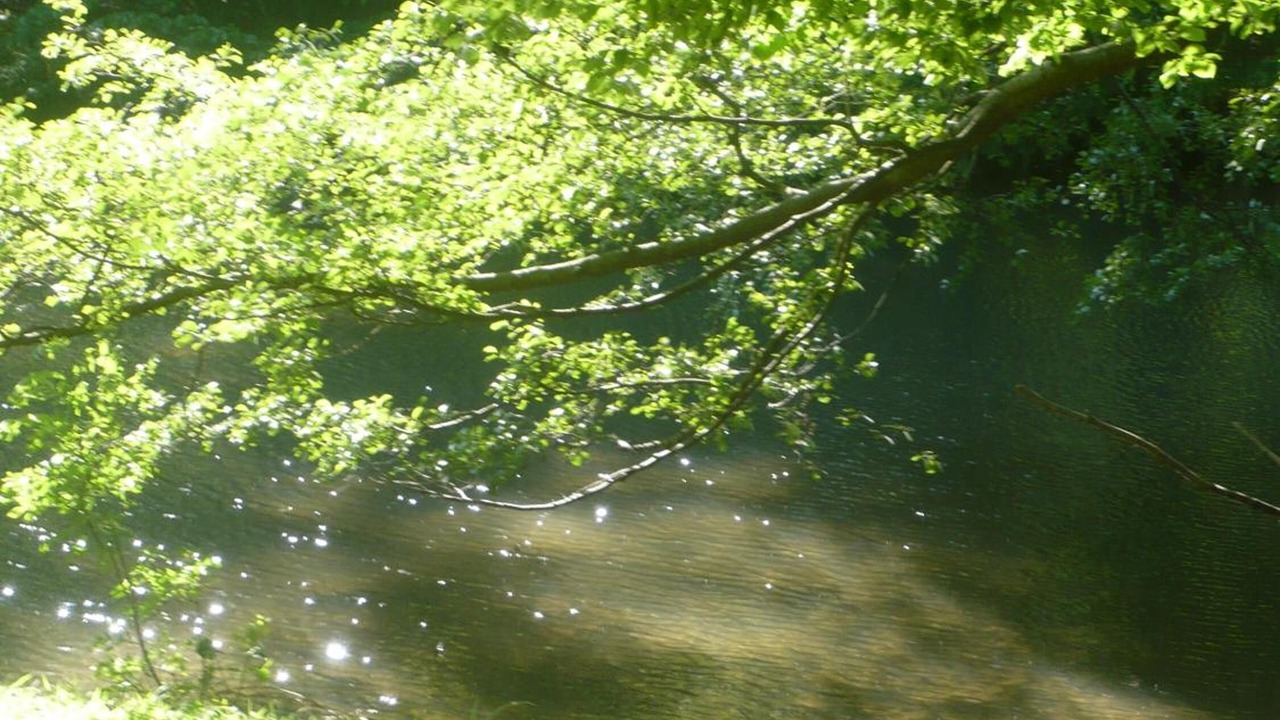 Photo of Outdoor in Bures-sur-Yvette