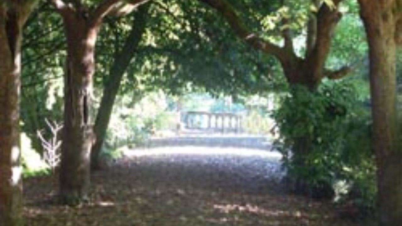 Photo of Outdoor in Saumur