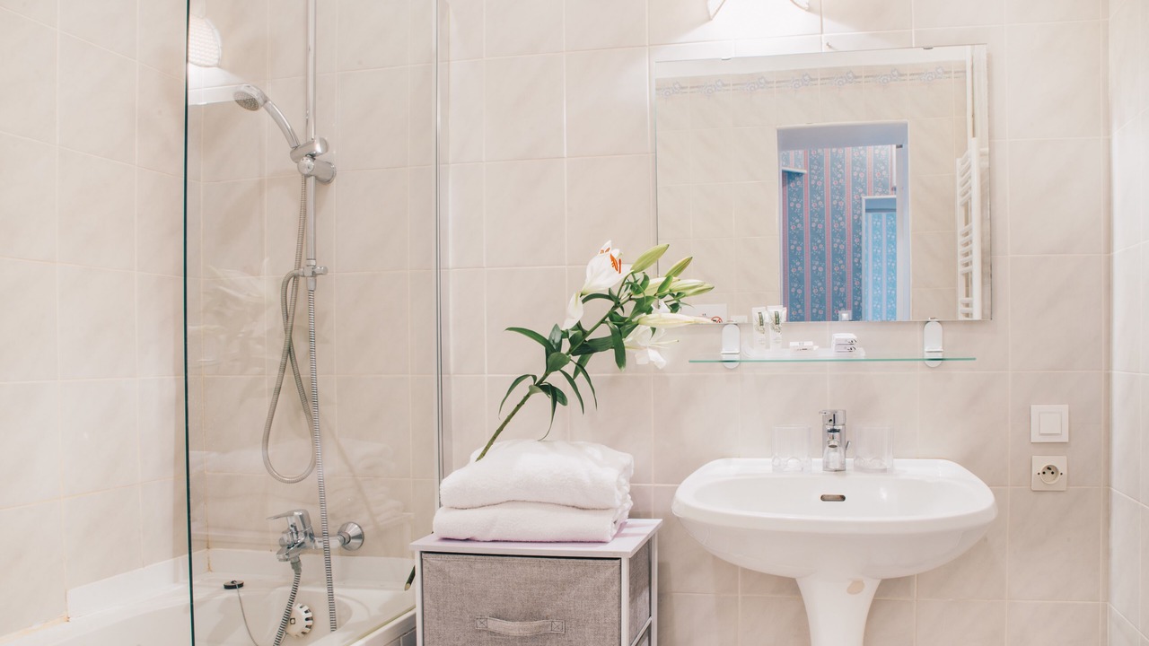 Photo of Bathroom in Le Landin