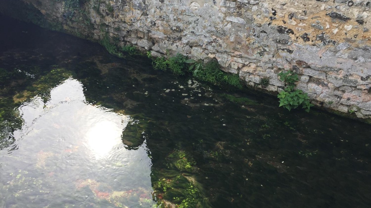 Photo of Outdoor in Saint-Vigor