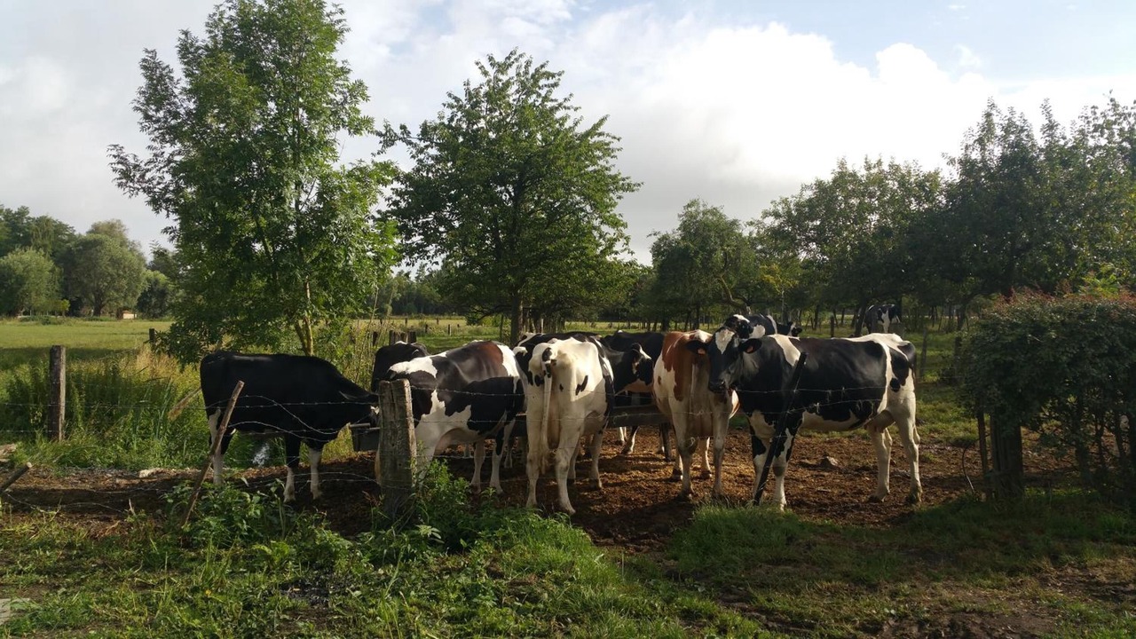 Photo of Outdoor in Saint-Amand-les-Eaux