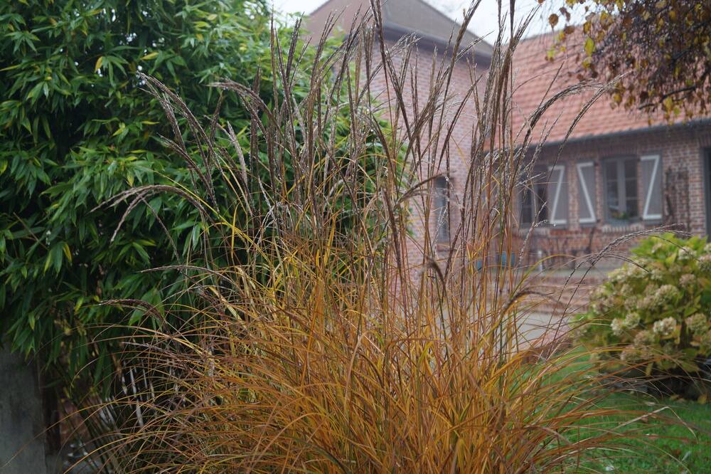 Photo of Outdoor in Coulomby