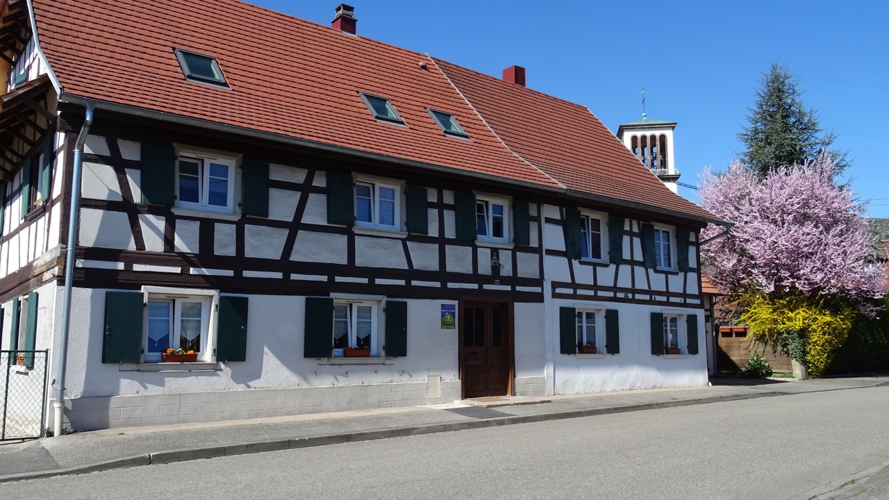 Photo of Outdoor in La Wantzenau