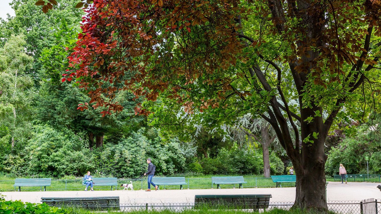 Photo of Outdoor in L'Europe