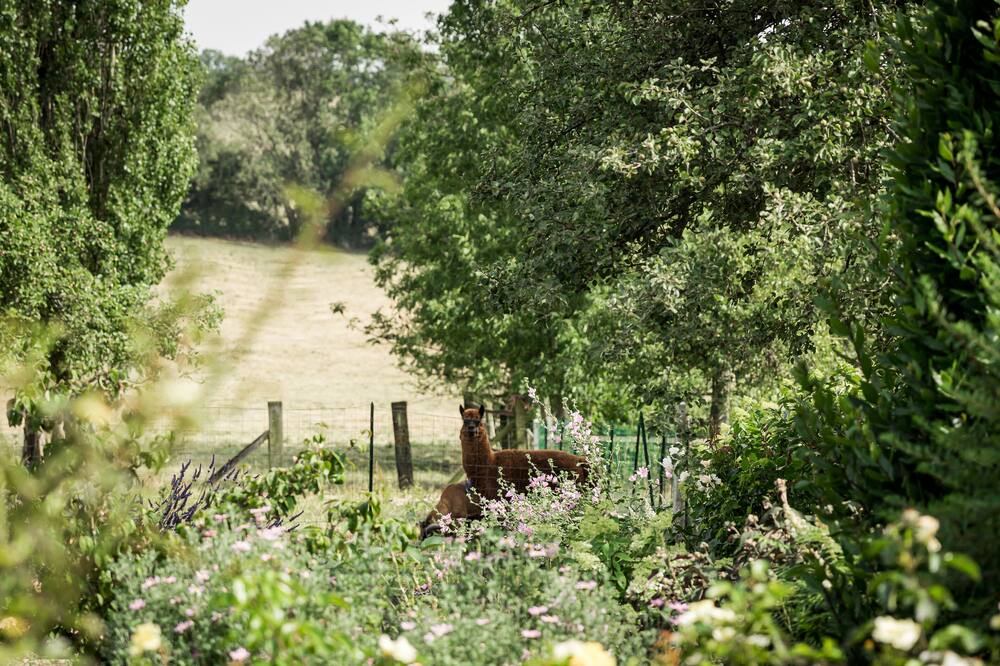 Photo of Outdoor in Longmesnil