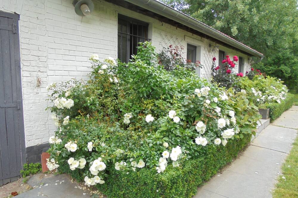 Photo of Outdoor in Verlinghem