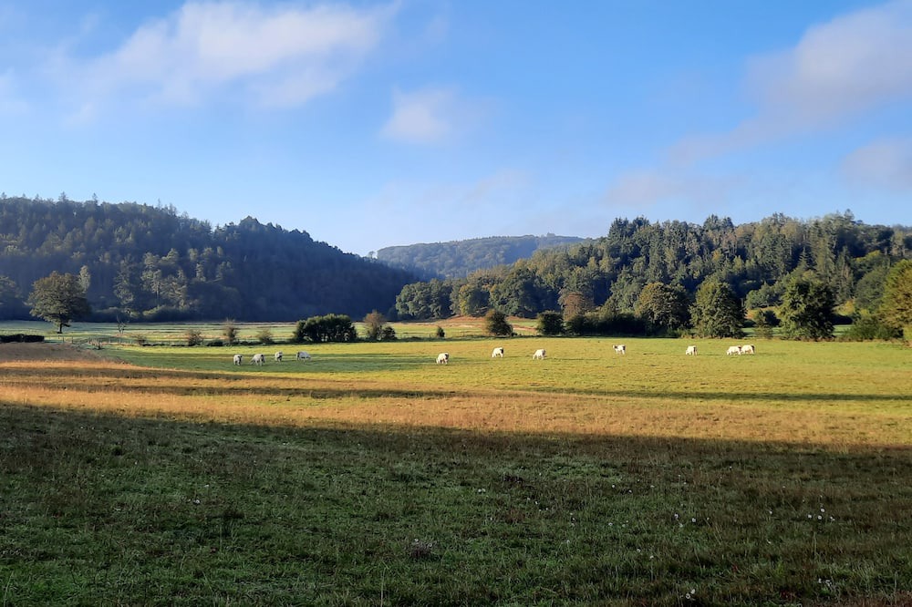 Photo of Others in Alligny-en-Morvan