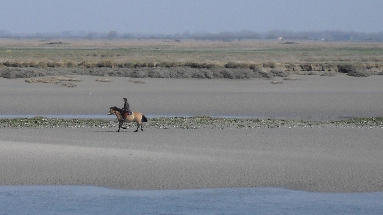 Photo of Others in Cayeux-sur-Mer
