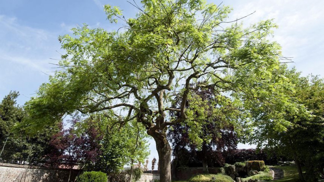 Photo of Outdoor in Le Cateau-Cambresis