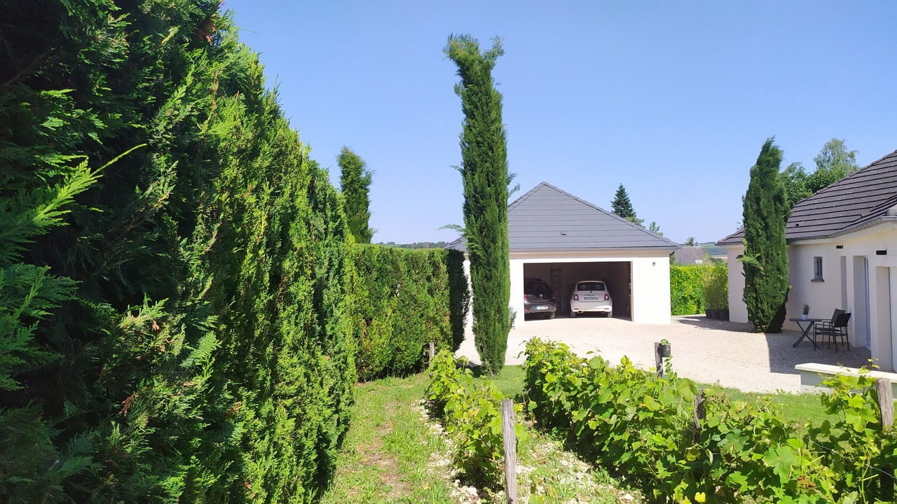 Photo of Outdoor in Chichee