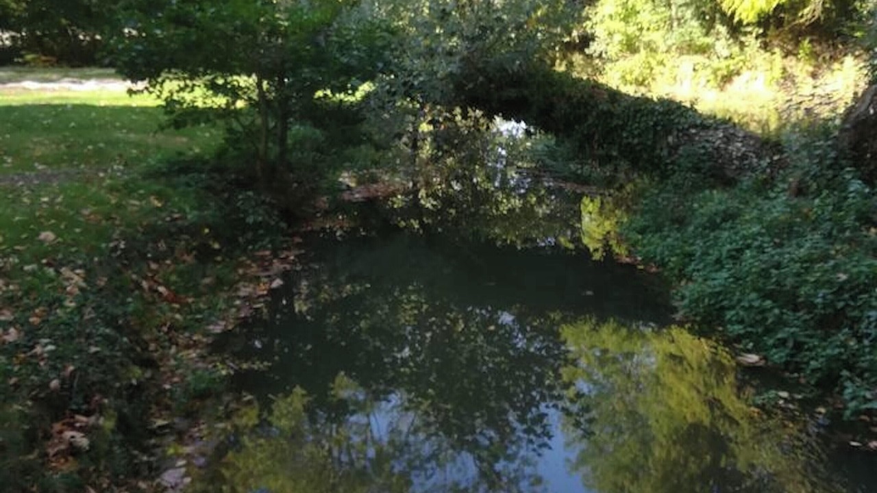 Photo of Outdoor in Mosnay