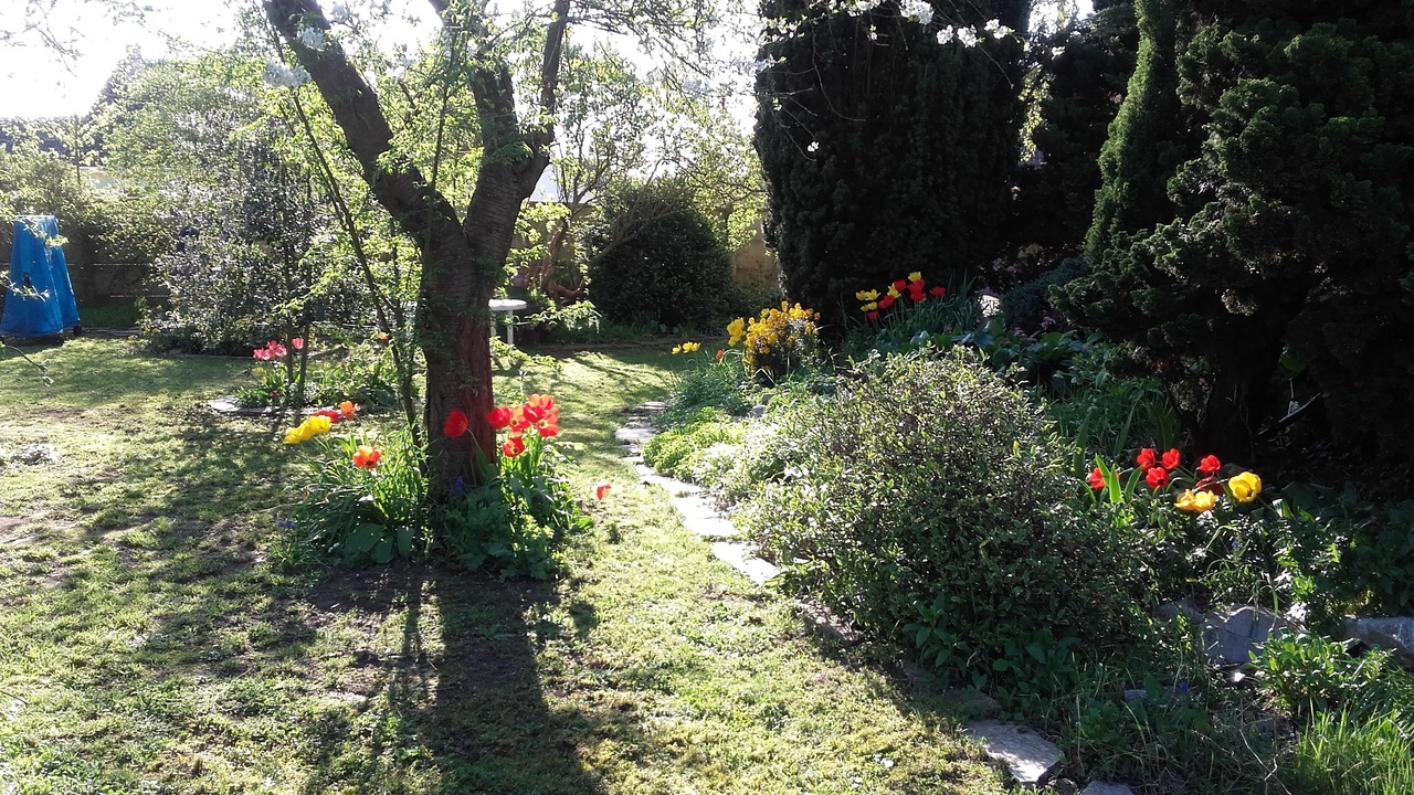Photo of Outdoor in Saint-Aubin-Les-Elbeuf
