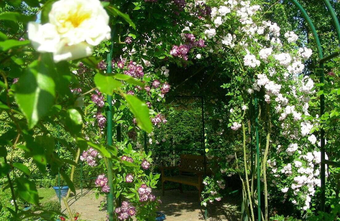 Photo of Outdoor in Recueil
