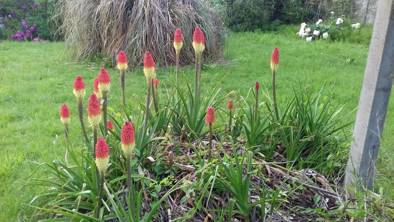 Photo of Outdoor in Saint-Augustin