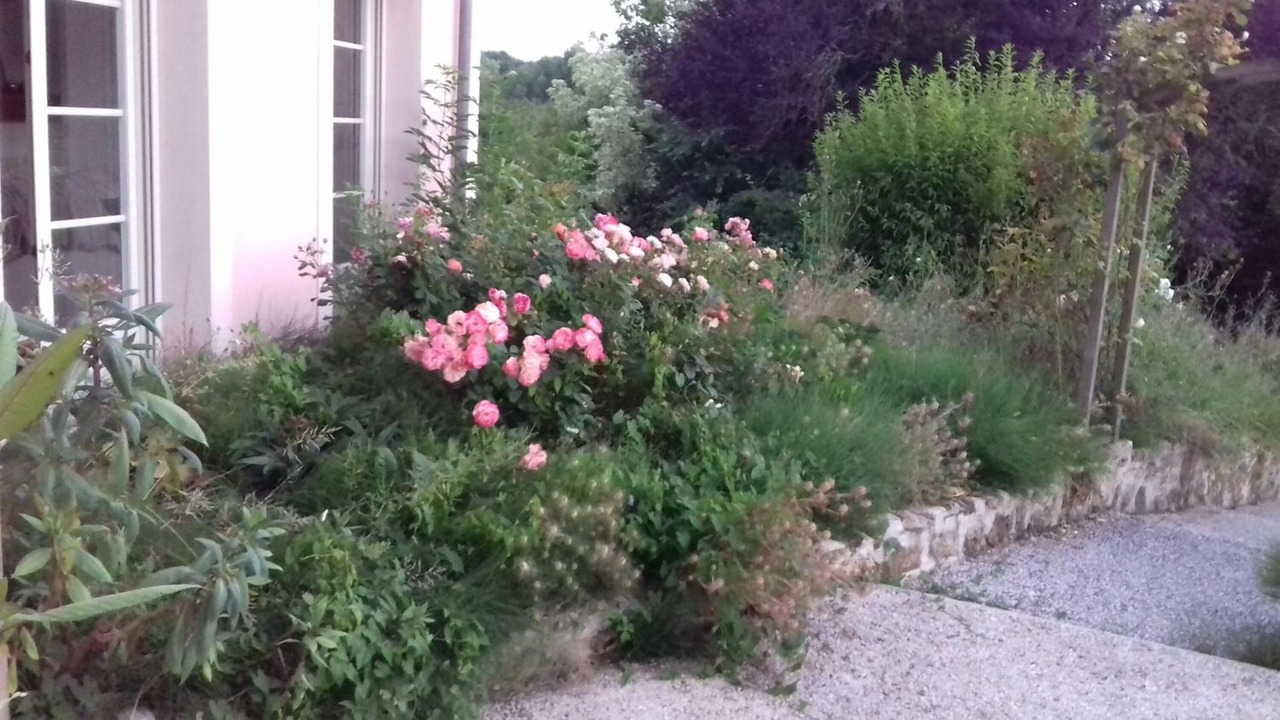 Photo of Outdoor in Saint-Augustin