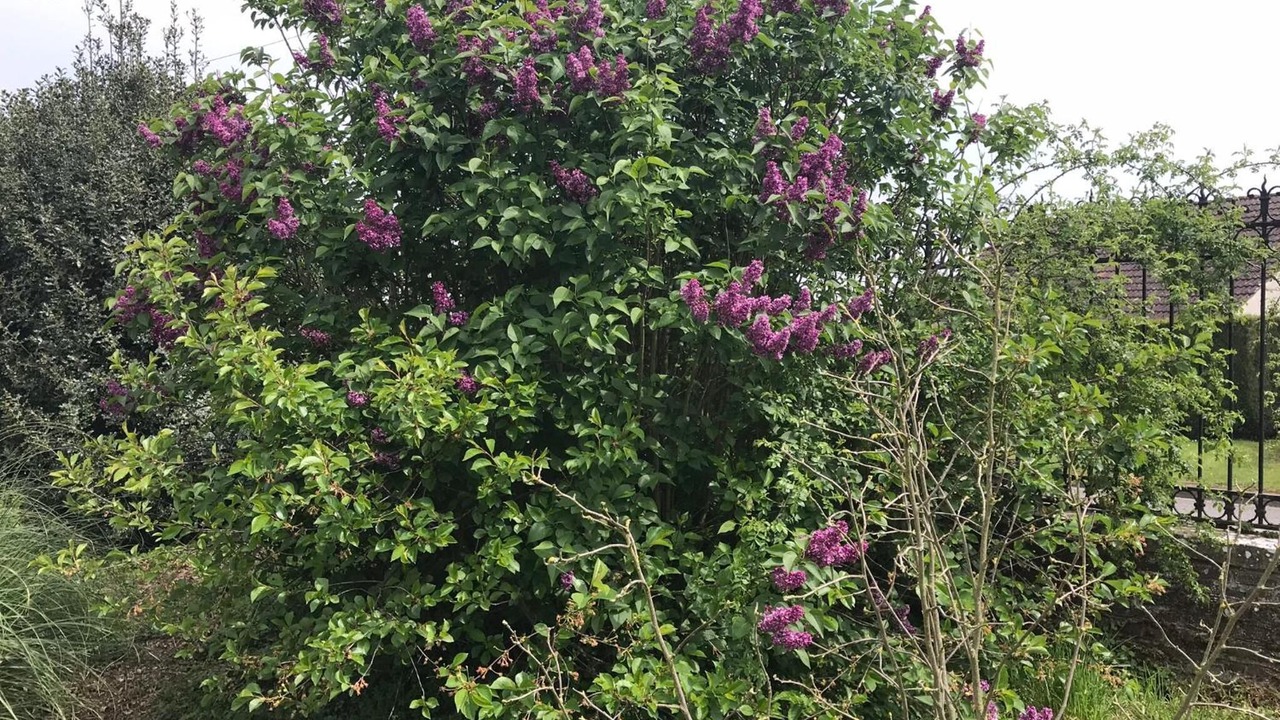 Photo of Outdoor in Nurlu