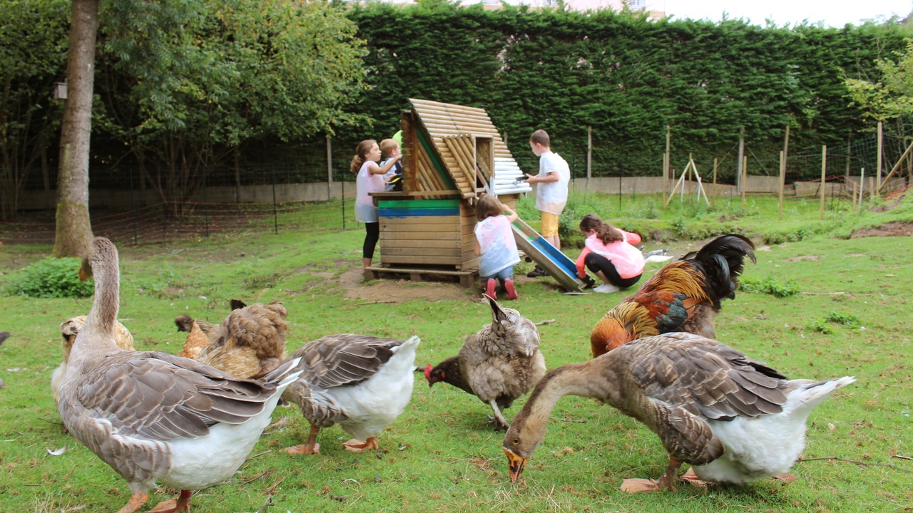 Photo of Others in Forges-les-Eaux