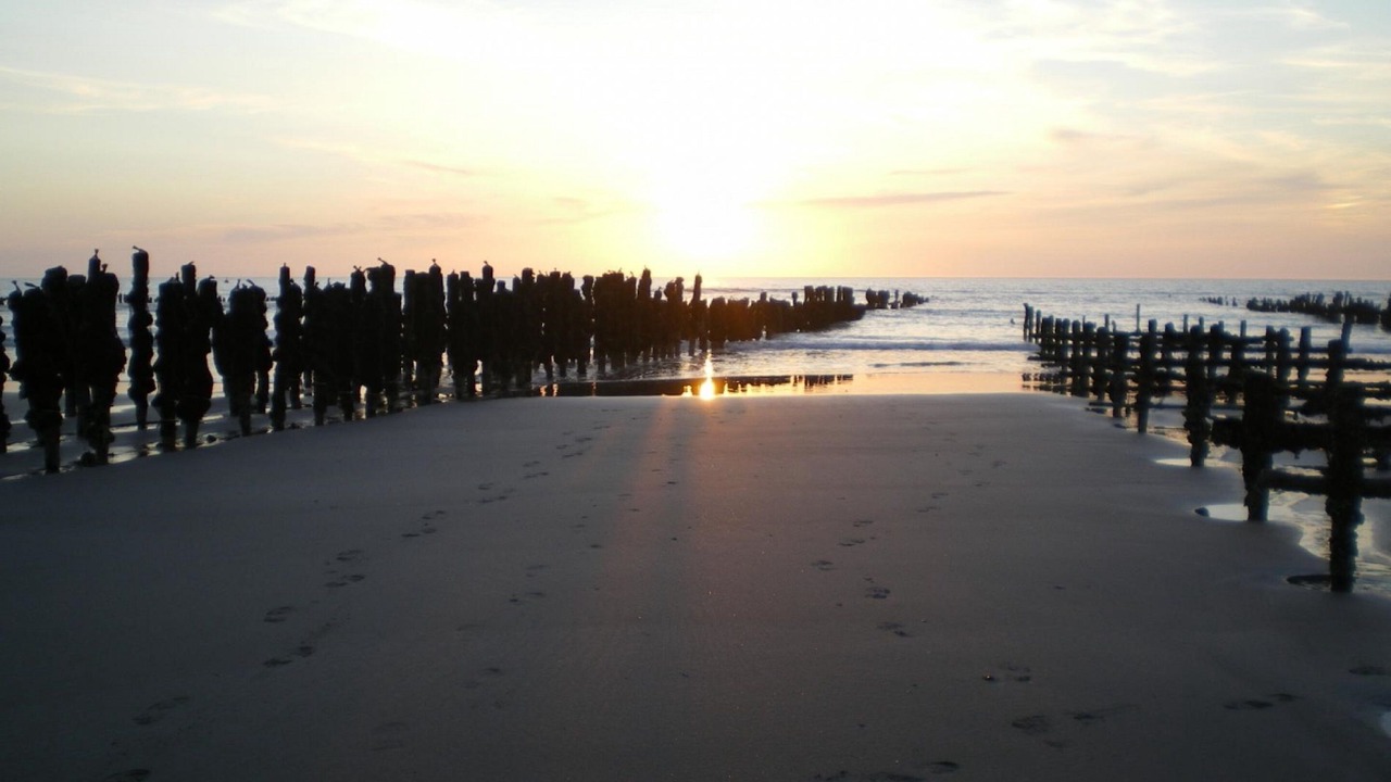 Photo of Outdoor in Le Crotoy