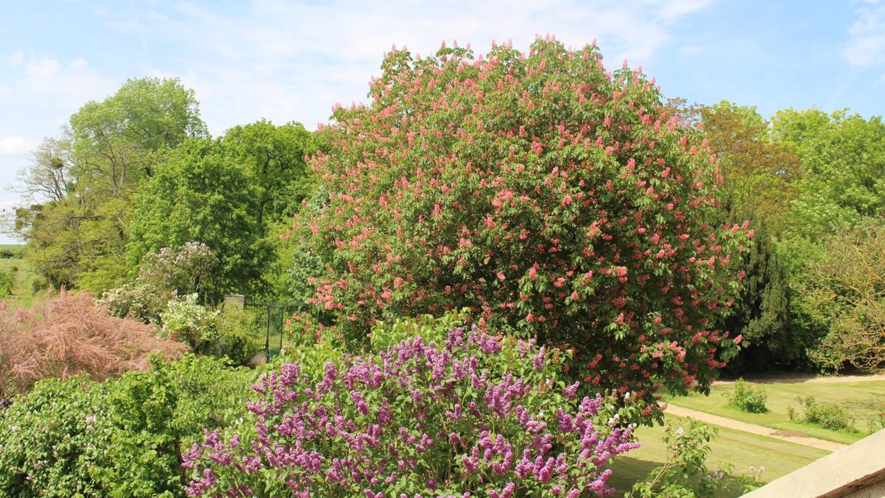 Photo of Outdoor in Tancrou