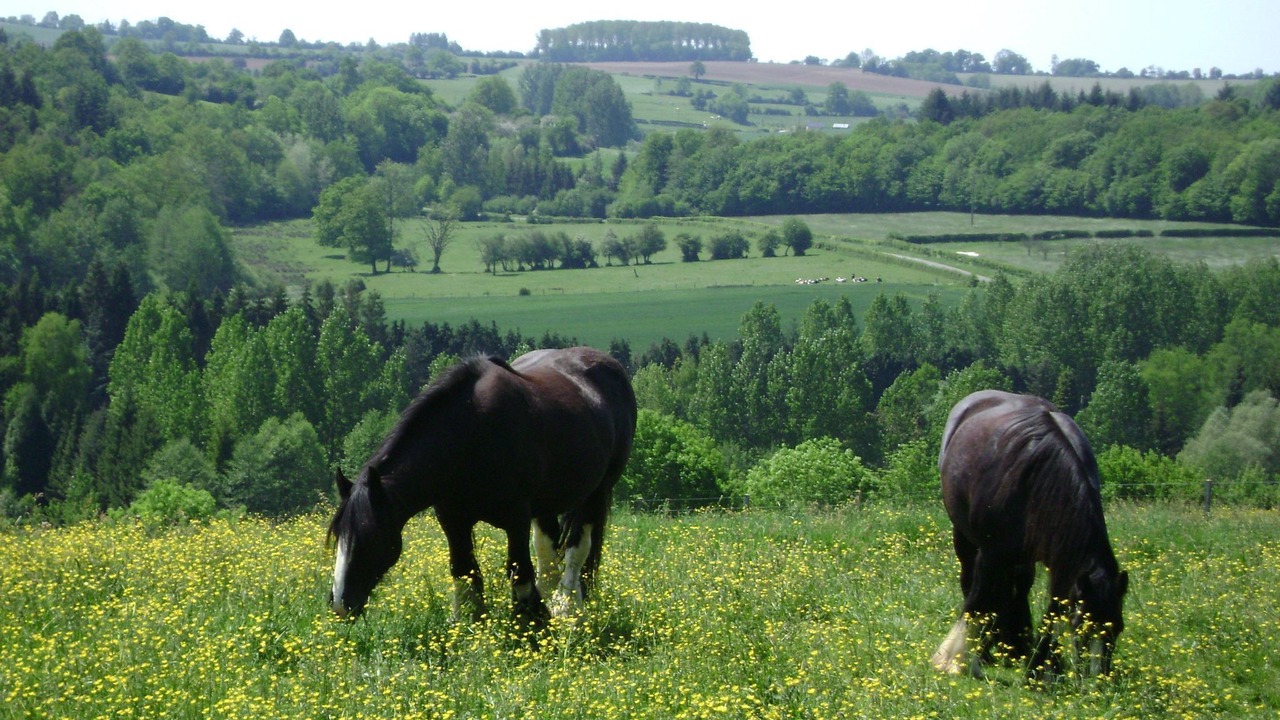 Photo of Outdoor in Hericourt-sur-Therain