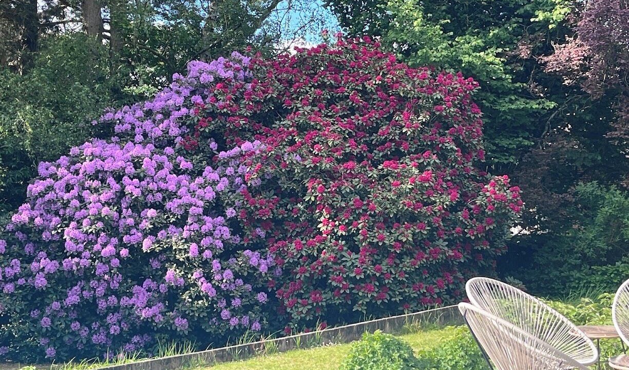 Photo of Outdoor in Croix