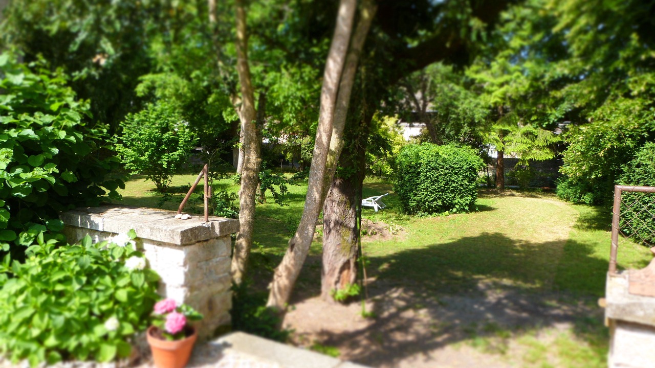Photo of Outdoor in Savigny-les-Beaune