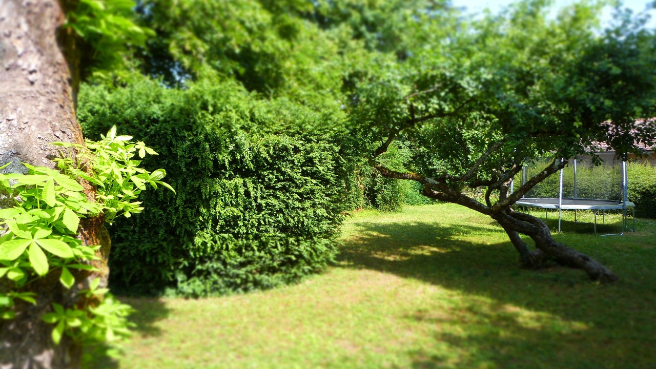 Photo of Outdoor in Savigny-les-Beaune