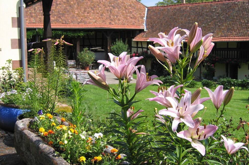 Photo of Outdoor in Schalkendorf