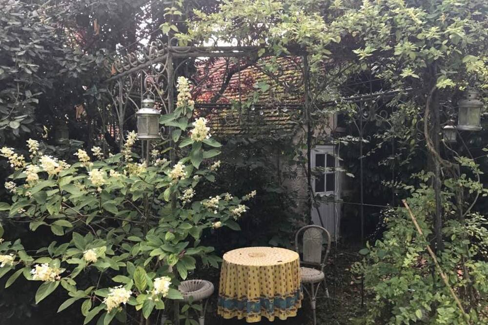 Photo of Outdoor in La Chapelle-Montligeon
