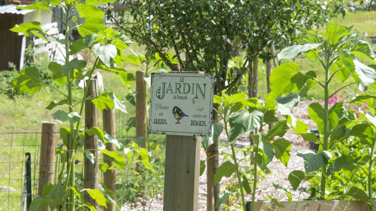 Photo of Outdoor in Les Preaux