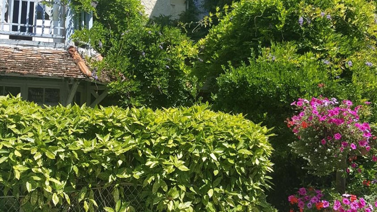 Photo of Outdoor in Hermonville