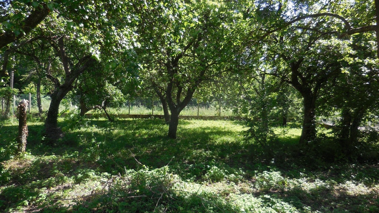 Photo of Outdoor in Cahon